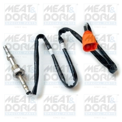 Sensor, exhaust gas temperature